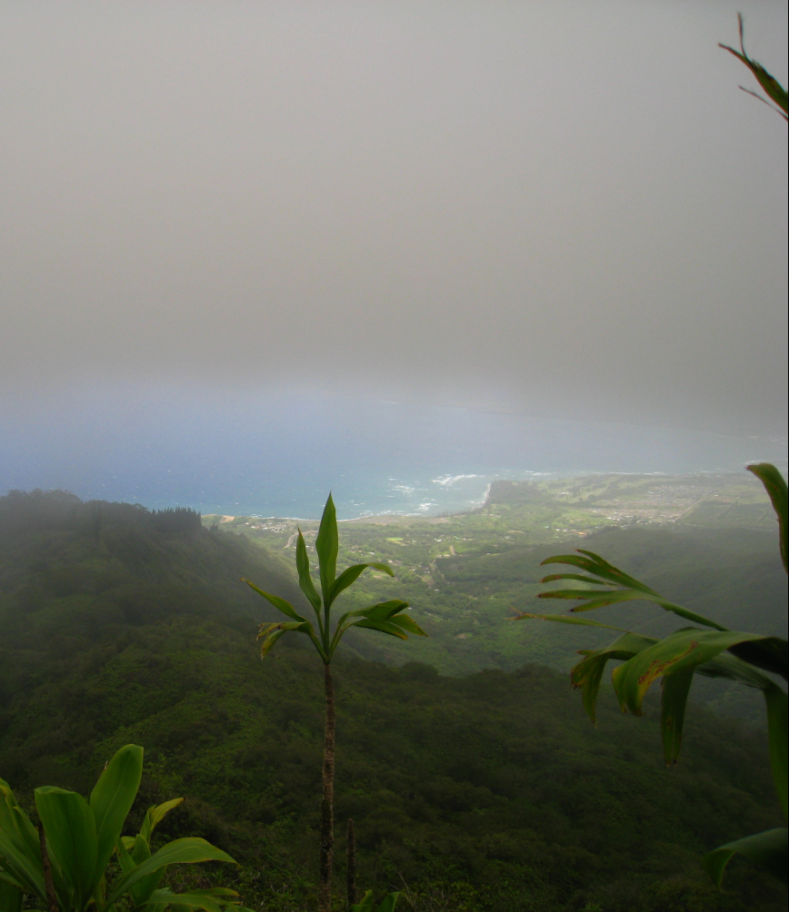 Hawaii landscape